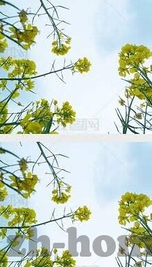 av中文字幕系列视频-探索AV中文字幕系列视频的多元魅力