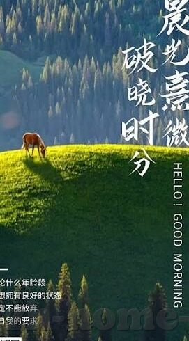 后入内射麻豆欧美视频-窥探多元文化之窗，国际成人内容与跨文化交流的边界探索