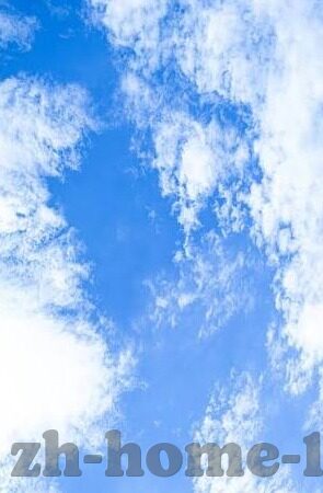 麻豆传媒免费-自由网络空间的内容共享与负责任的资讯获取
