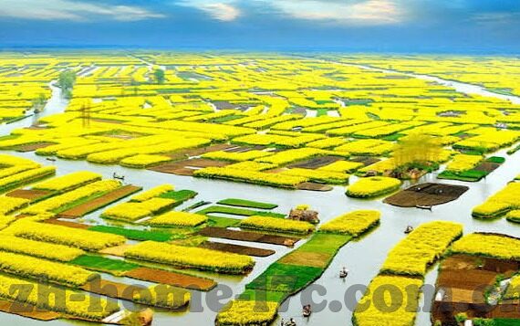 麻豆传媒 少年阿宾-故事背后的思考——麻豆传媒少年阿宾的启示