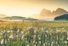 糖心vlog柚子猫在线-糖心vlog与柚子猫，网络时代的创意新风尚
